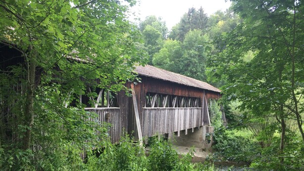 A rustic wooden structure with a thatched roof, surrounded by dense greenery and a small stream.