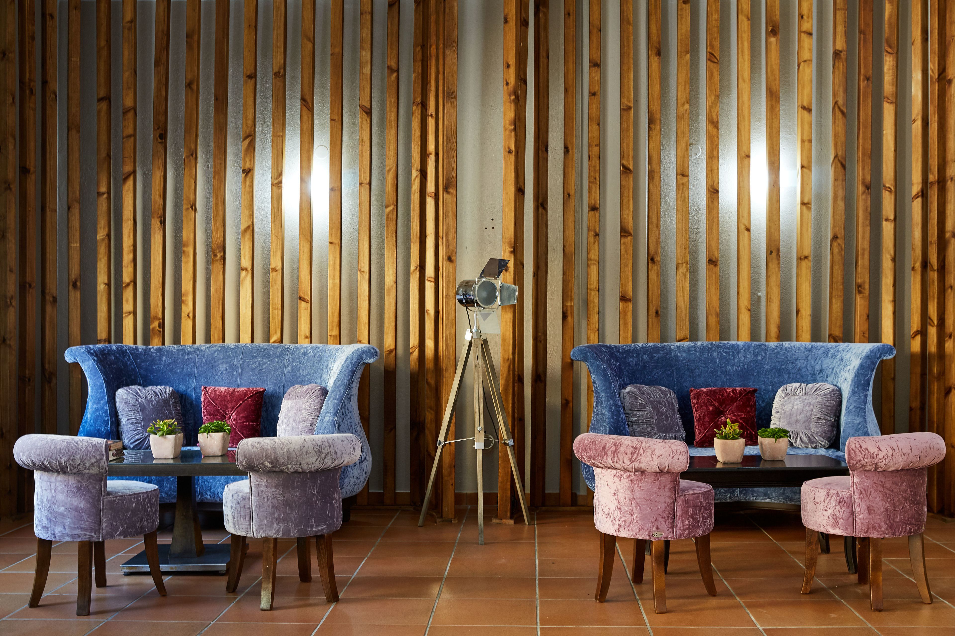 A room with two sofas and two armchairs, a tripod, and a small table with potted plants.