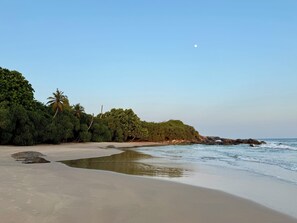A beach with a calm sea, sandy shore, and dense greenery including palm trees. - Peaceful, private self contained villa. Just a few steps from the beach! (Tangalle)