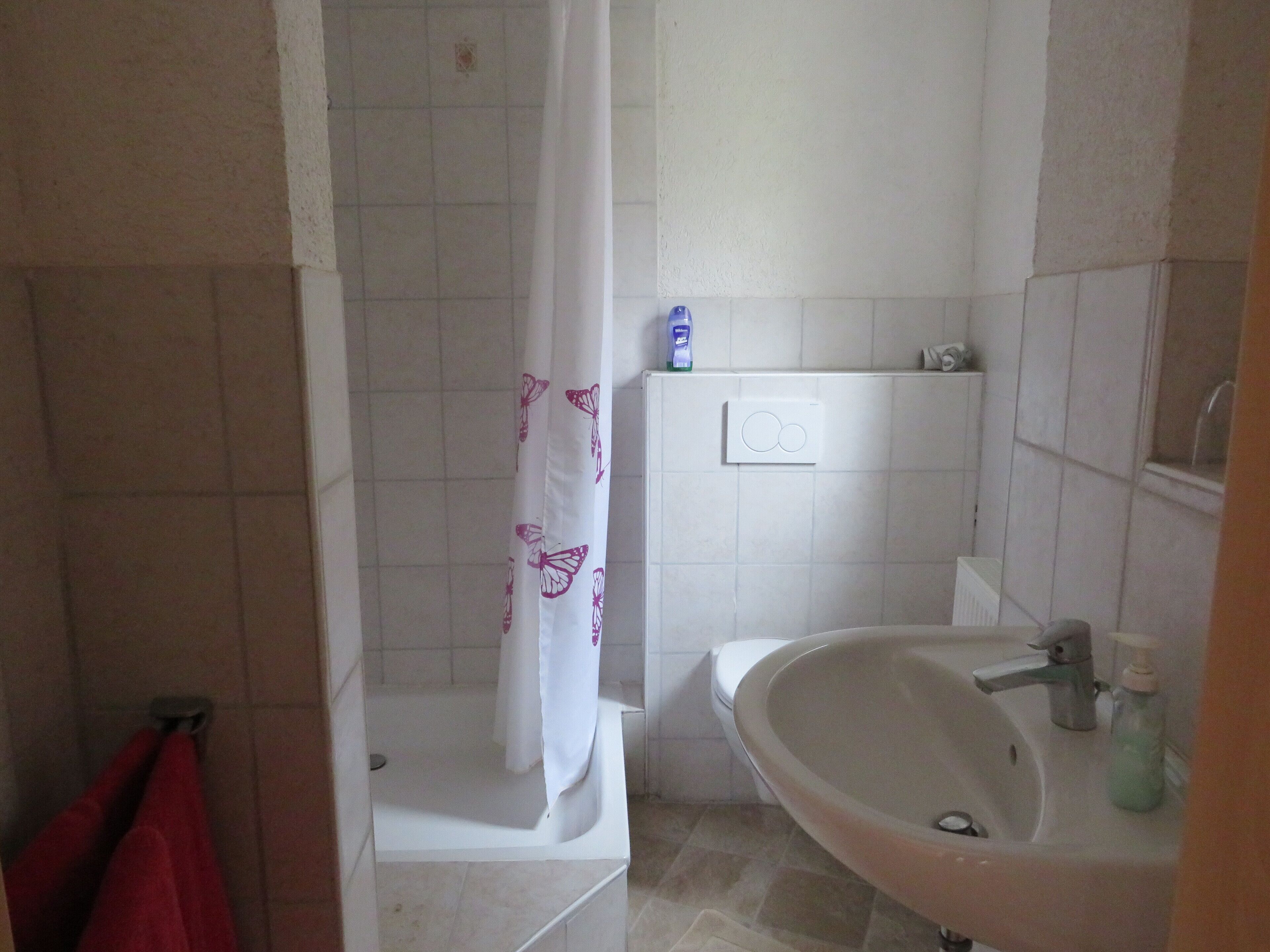 A bathroom with a shower, a sink, and a toilet.
