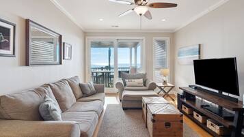 TV, books, computer monitors