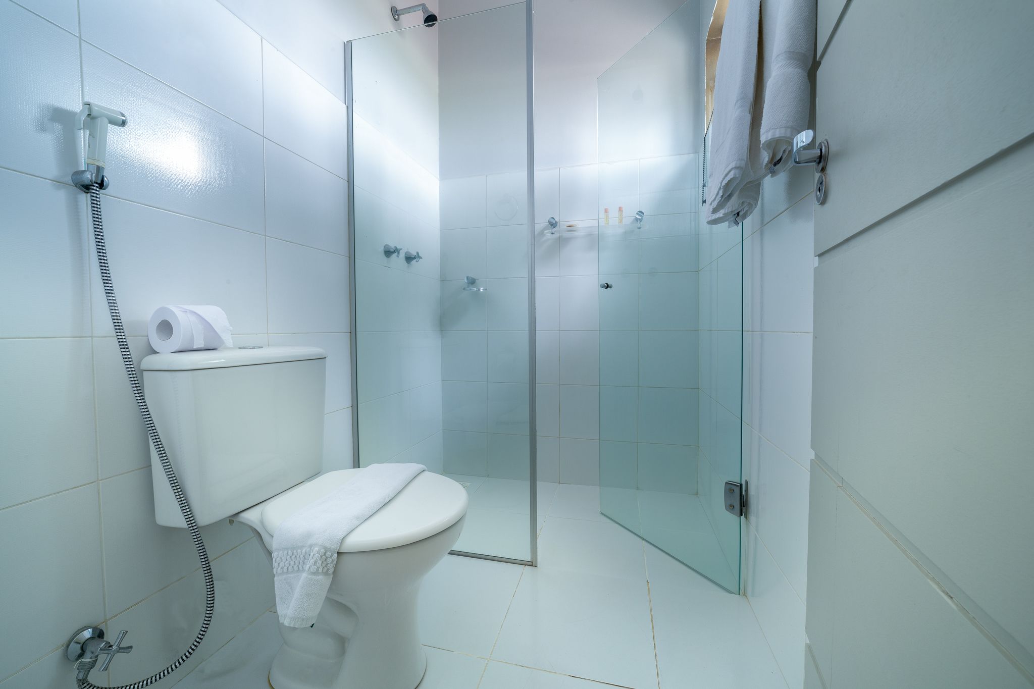 A modern bathroom with a toilet, glass shower enclosure, and a towel rack.