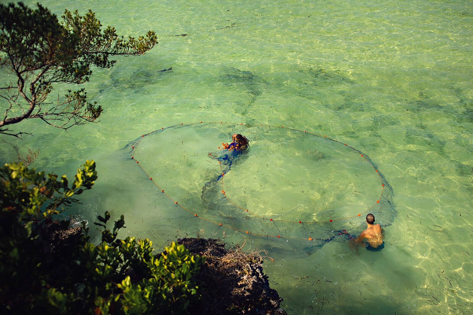 Foto - The Island - Pongwe Lodge