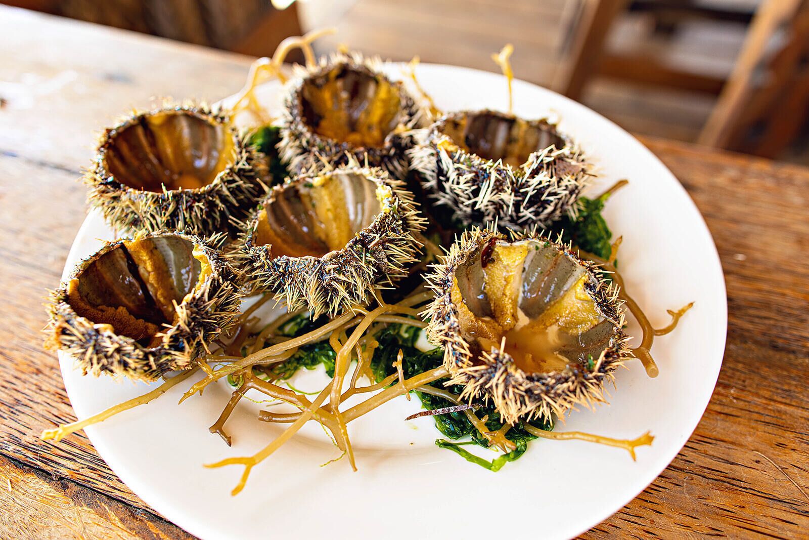 Foto - The Island - Pongwe Lodge