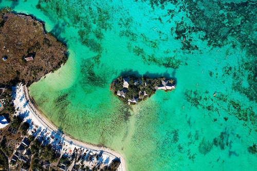 The Island - Pongwe Lodge - Adults Only