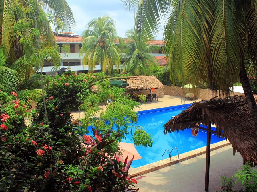 Outdoor pool, sun loungers