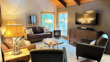 智能电视、壁炉、DVD 播放器