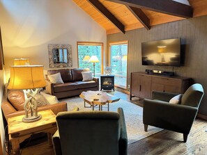 TV connectée, cheminée, lecteur de DVD