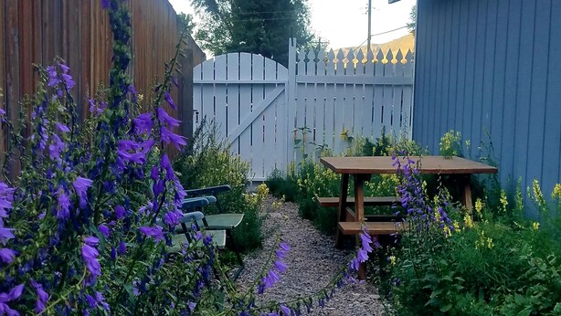 En grussti fører hen til en træbænk og et picnicbord, omgivet af frodig vegetation og lilla blomster.