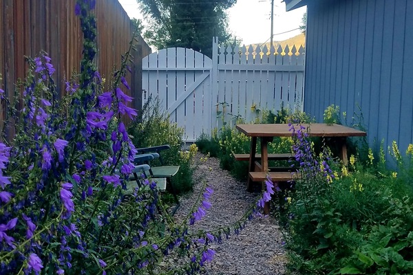 Peak Season in town is July and August