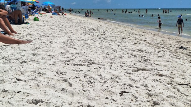 Una playa con gente y sombrillas.