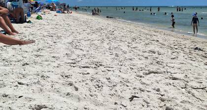 Kävele / pyöräillä rannalle, ravintoloita, kauppoja, golf, elokuvia, Whole Foods Market-nukkuu 4