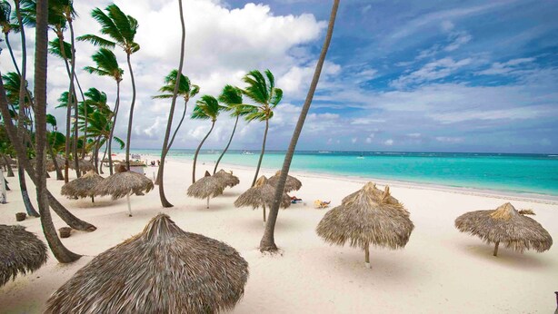 A beach with thatched umbrellas and palm trees.