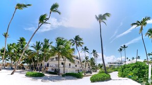 A beachfront hotel with palm trees, a sandy walkway, and a clear sky.