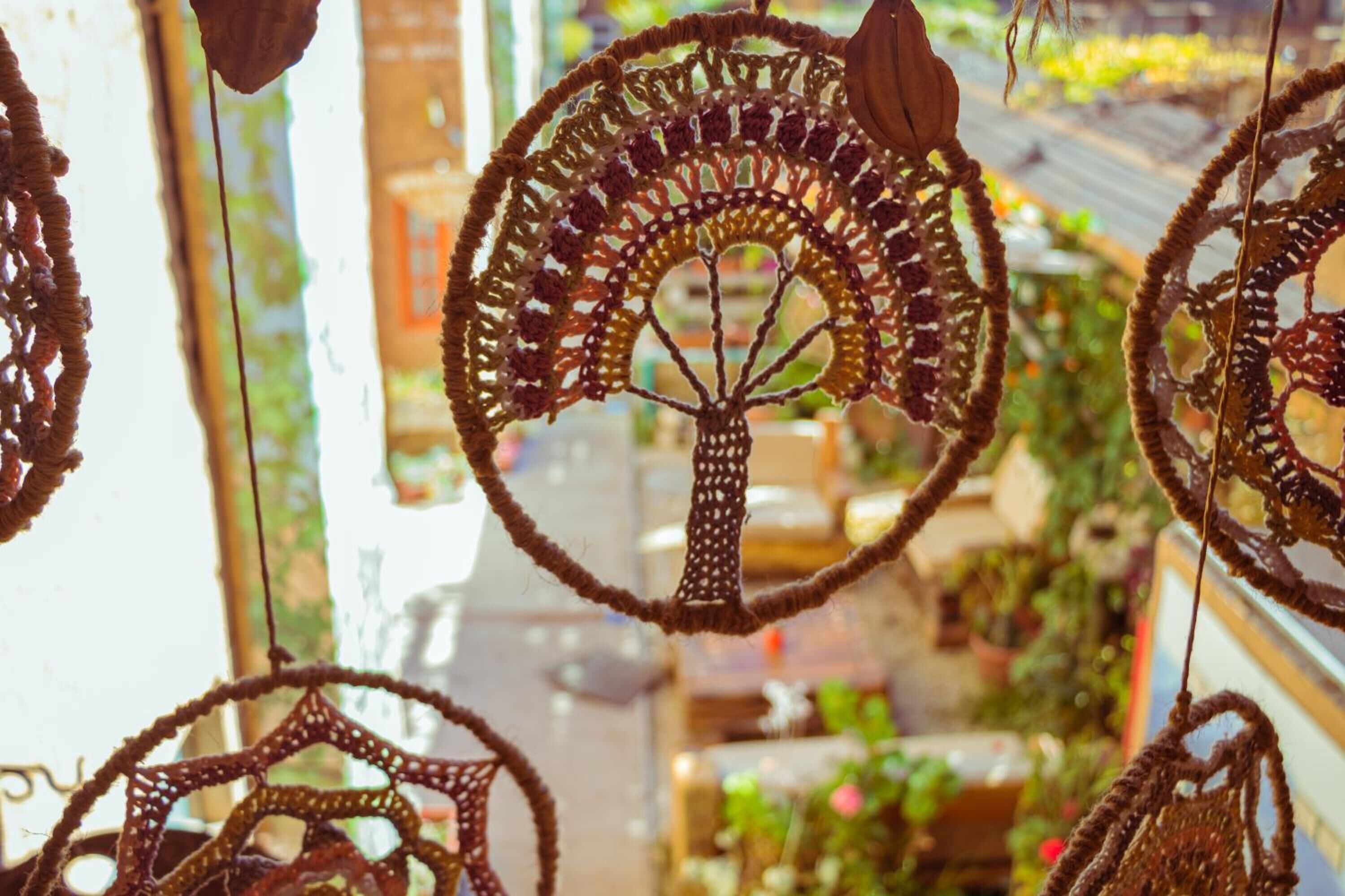 Foto - Hostal Valle Mistral