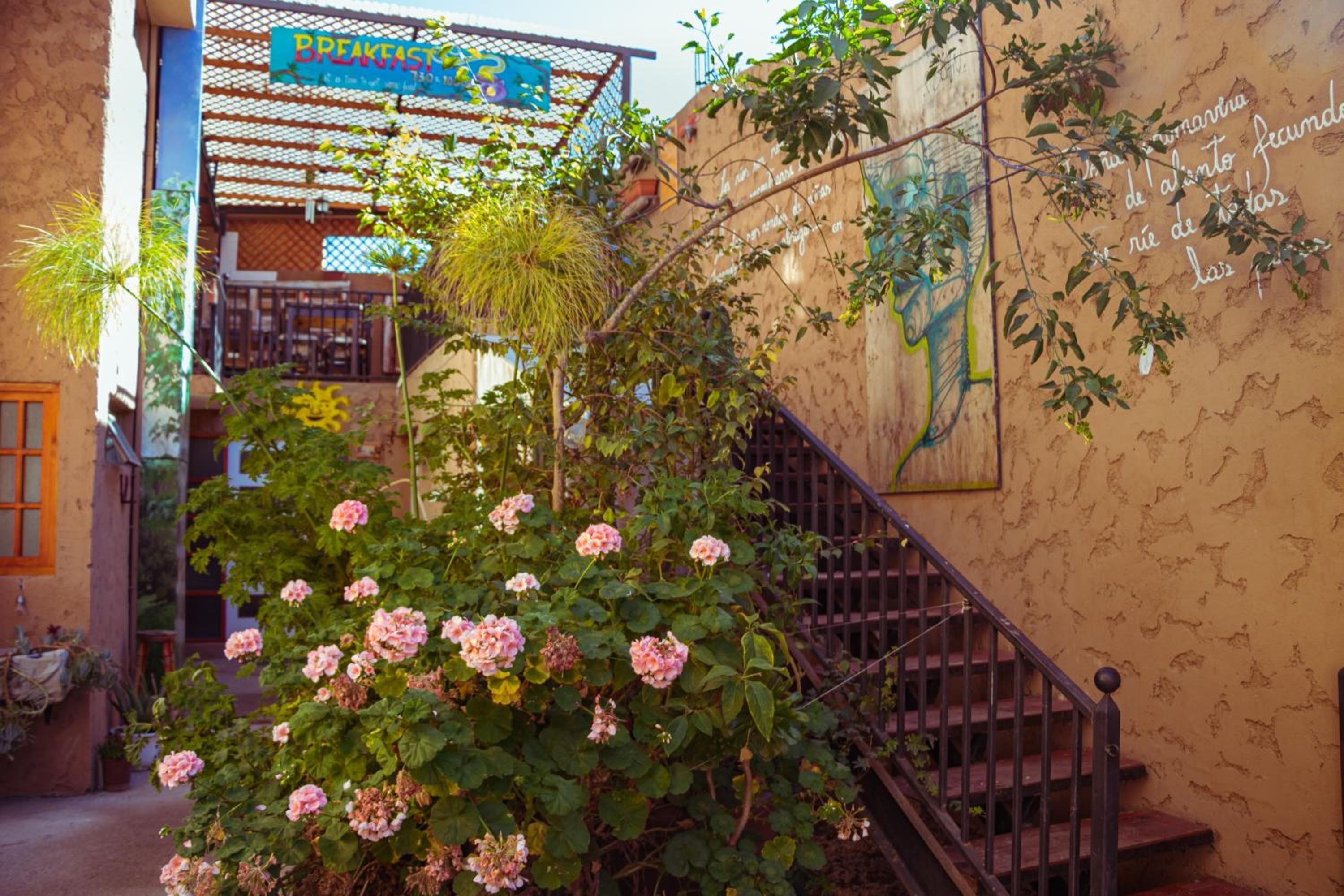 Photo - Hostal Valle Mistral