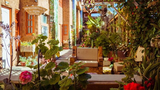 Eine schmale Gasse mit Häusern an beiden Seiten, einer hölzernen Bank und verschiedenen Pflanzen und Blumen.