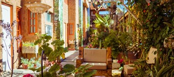 Hostal Valle Mistral - Hostel