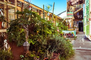 Property grounds - Hostal Valle Mistral - Hostel (La Serena)