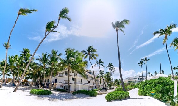 A beachfront hotel with palm trees, a sandy walkway, and a clear sky.