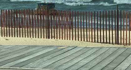 Experience Tranquility at Dunedin Cottage:The Perfect Retreat in Harbor Country!