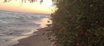 Experience Tranquility at Dunedin Cottage:The Perfect Retreat in Harbor Country!