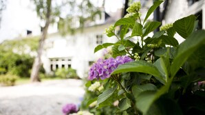 A garden with purple flowers and a white building in the background. - De Kastanjehof (Lage Vuursche)