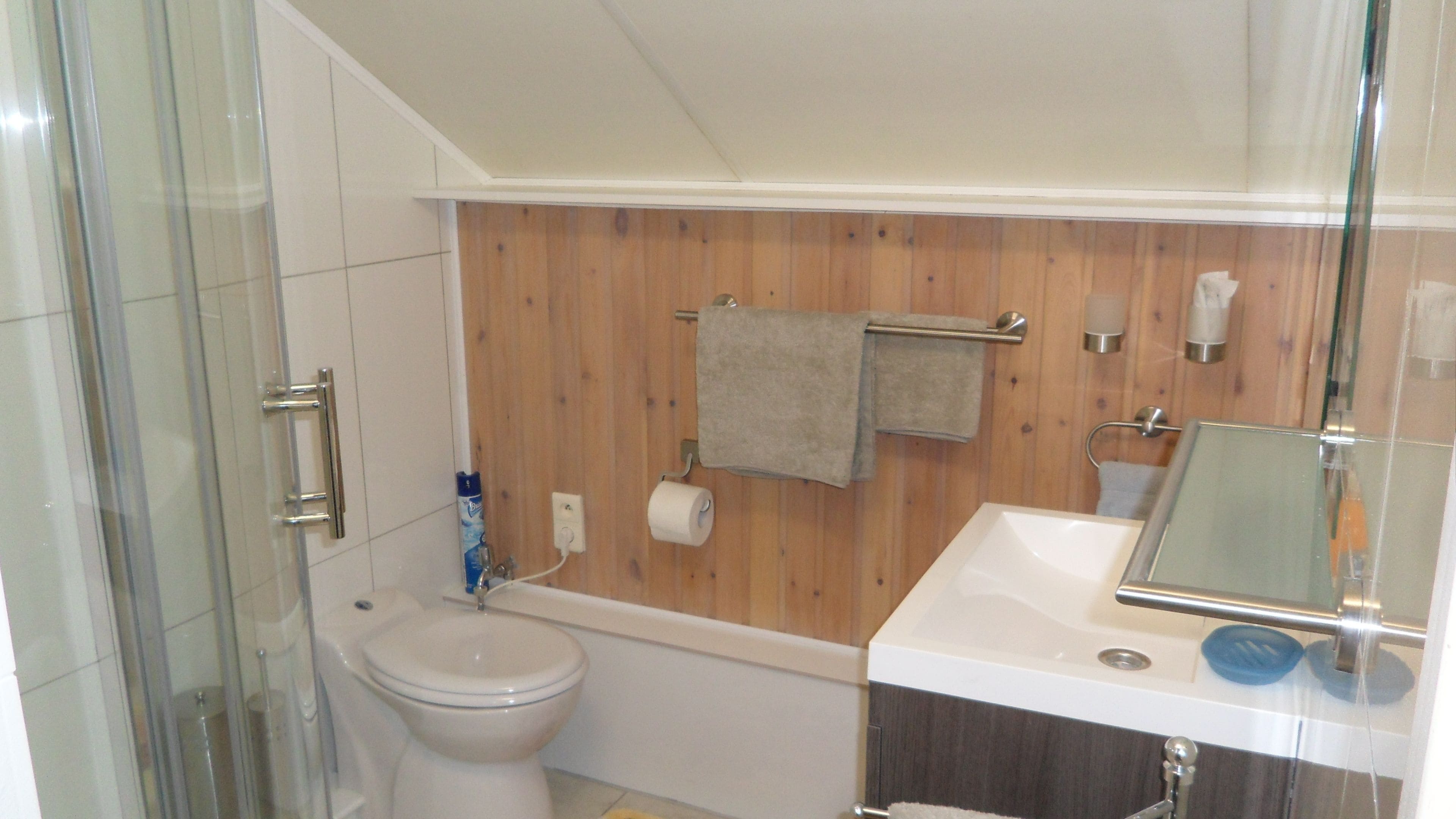 Chambre Double Standard, 1 lit double | Salle de bain | Douche, articles de toilette gratuits, sèche-cheveux