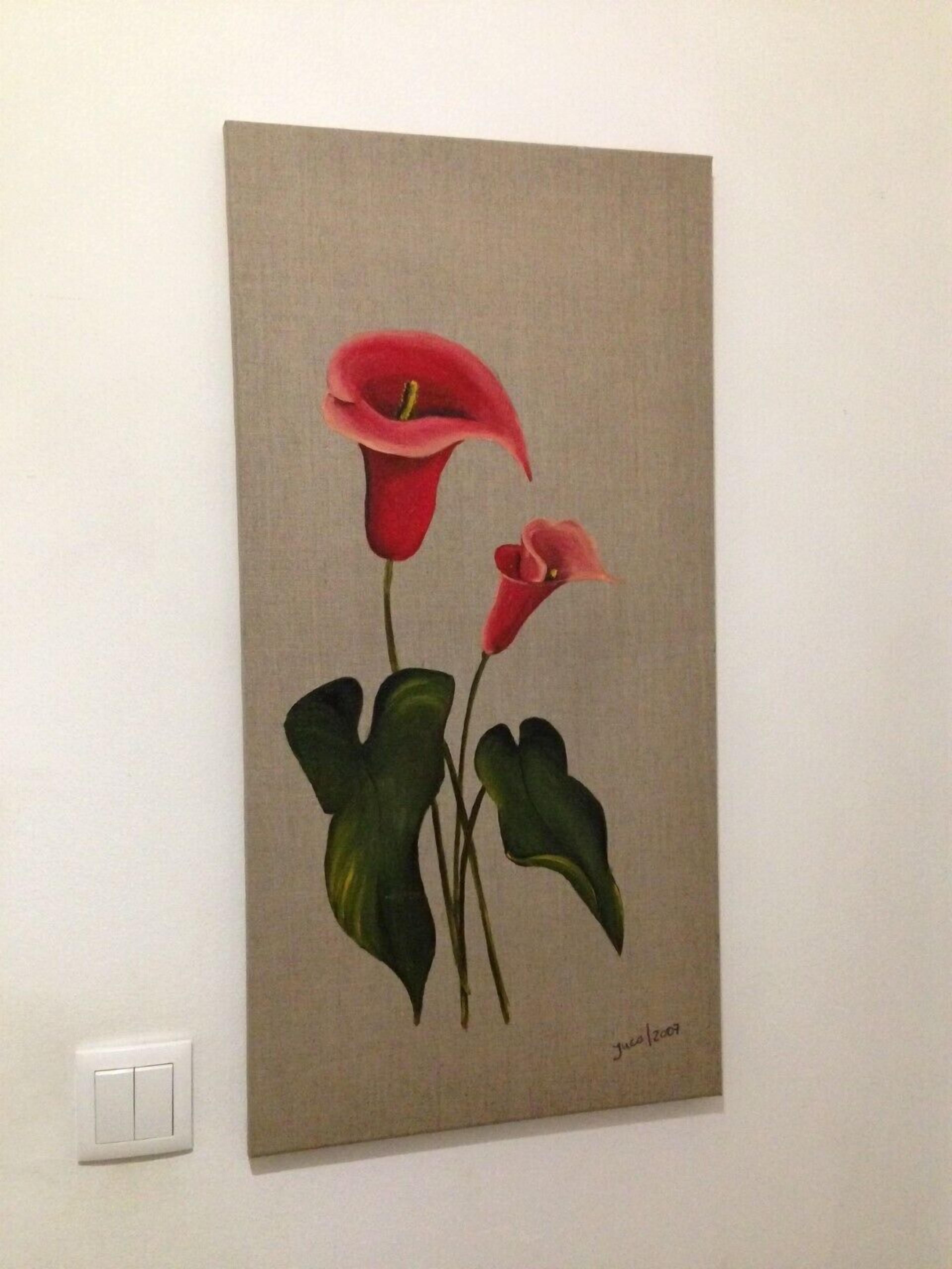 Foto - Palm Guesthouse B&B Rooms