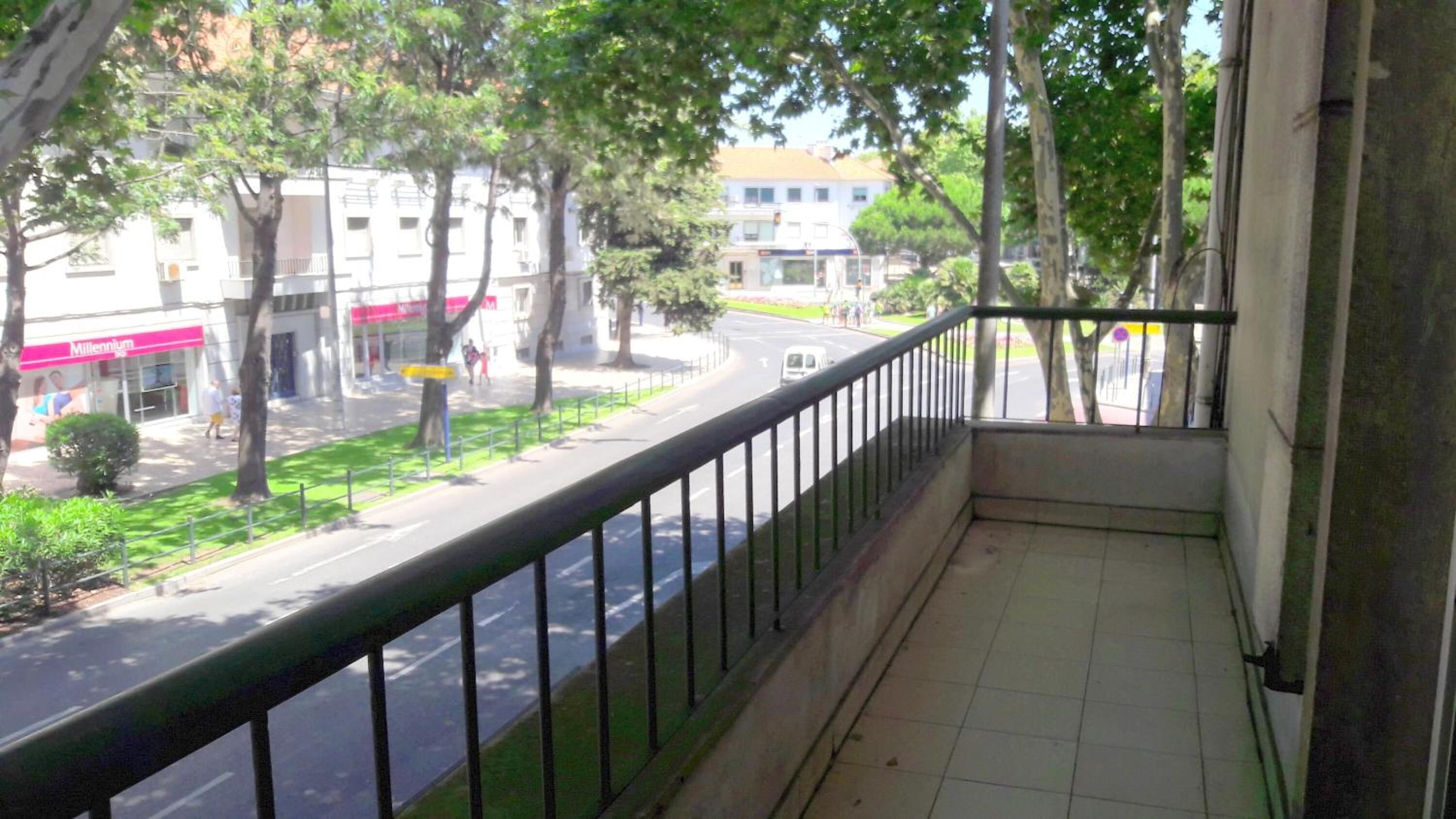 Foto - Palm Guesthouse B&B Rooms