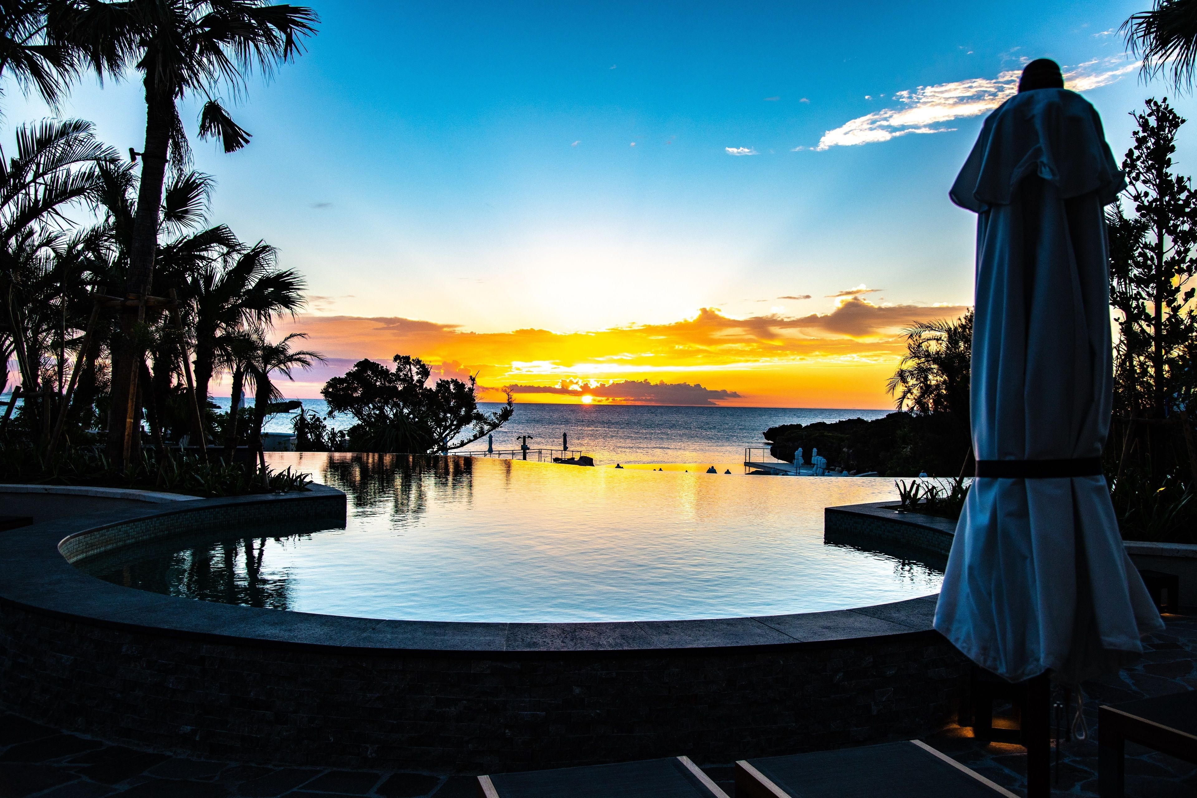 A pool with a sunset view, palm trees, and a statue.