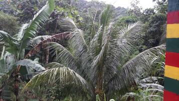 Pemandangan dari hartanah