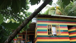 View from property - Nature in portland (Port Antonio)