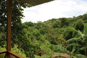 Vista dalla struttura