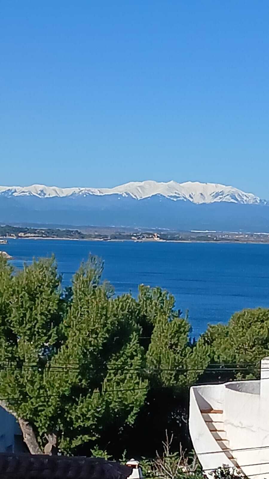 Vista costera con montañas nevadas al fondo, mar azul transparente y follaje verde en primer plano.
