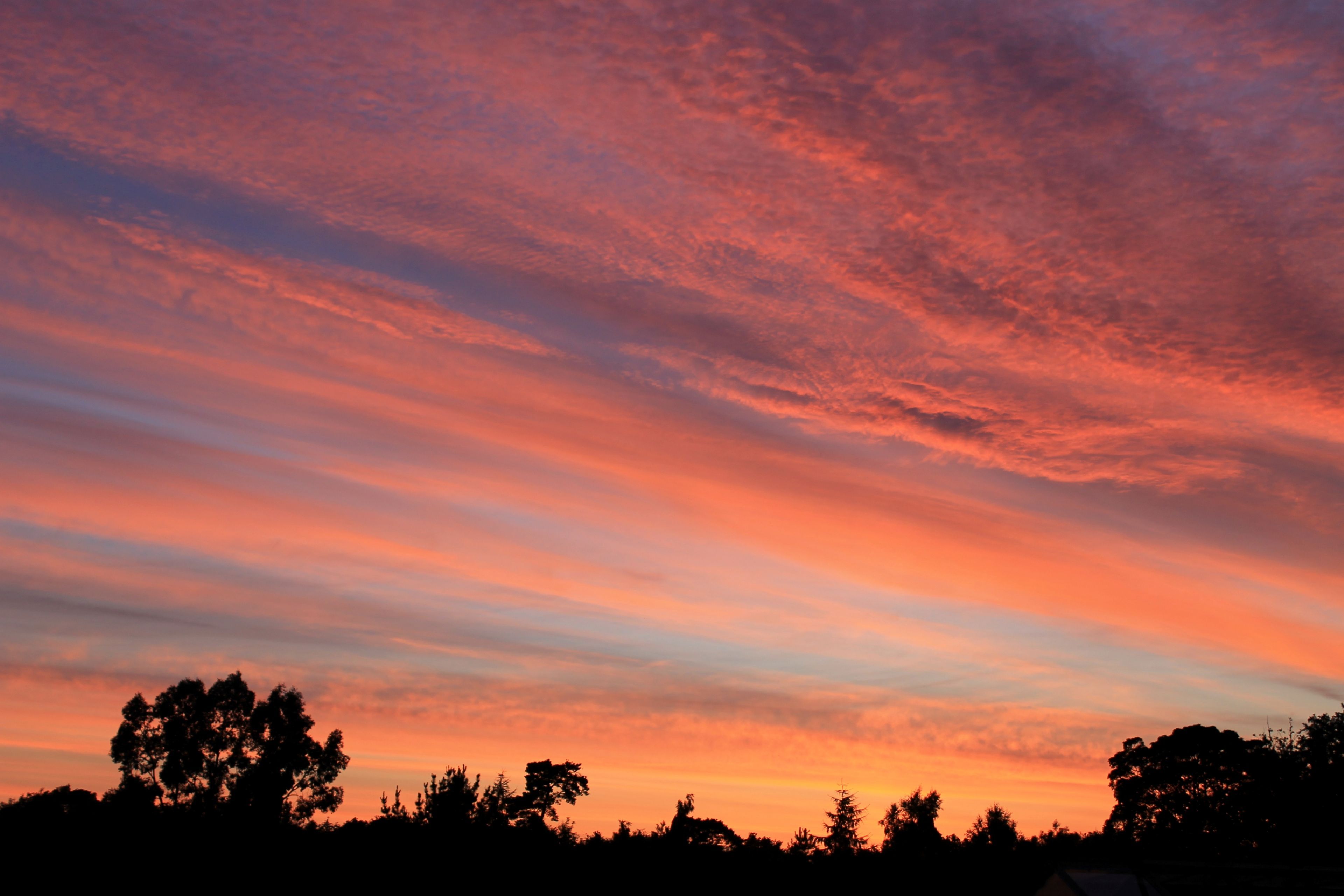 A sunset with a clear sky and silhouettes of trees.