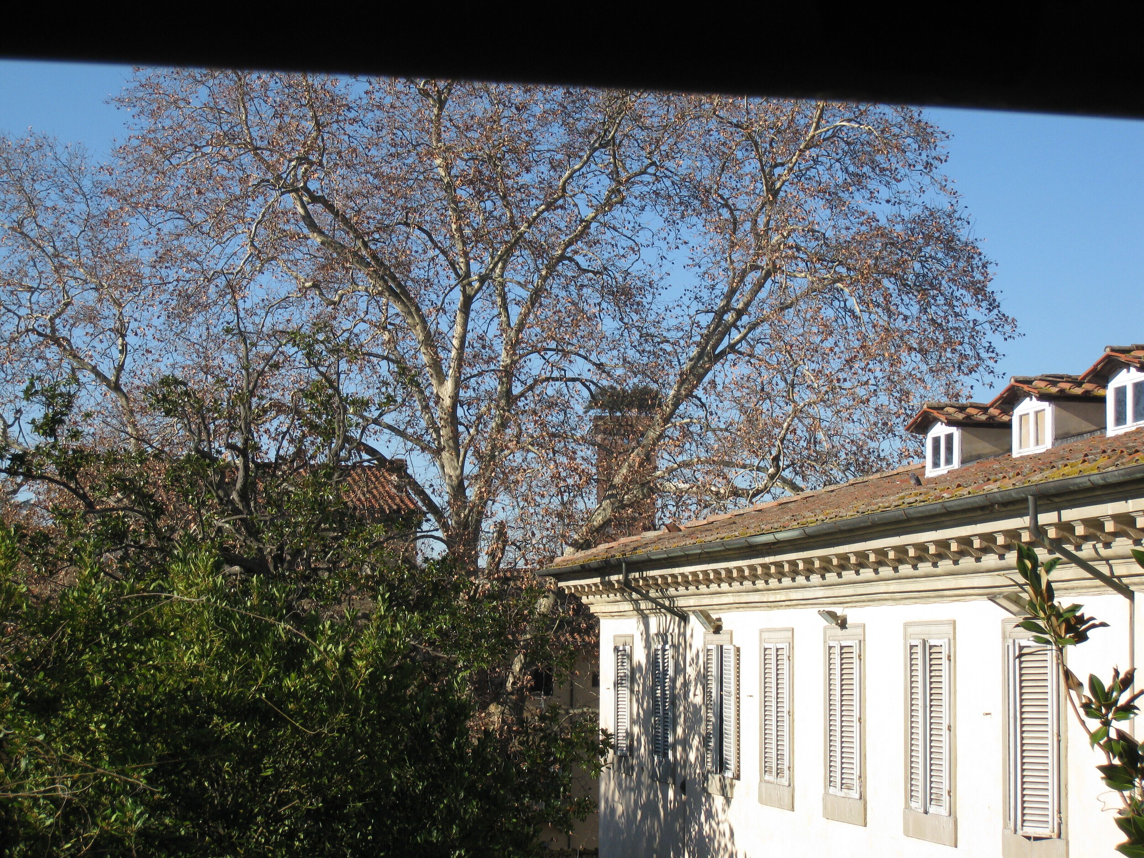 A building with a white facade, multiple windows with shutters, and a tiled roof.