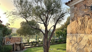 A stone pathway leading to a stone building with a large tree in the center.