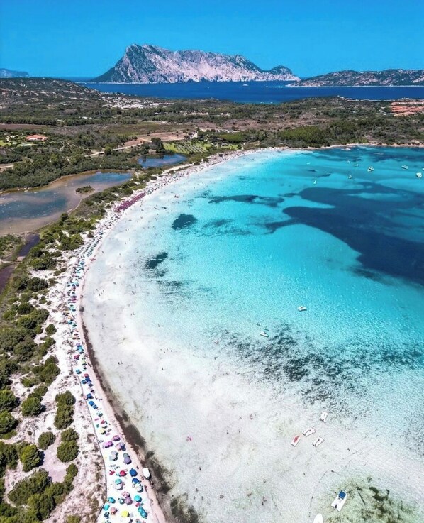 Nær stranden, solsenger og strandhåndklær