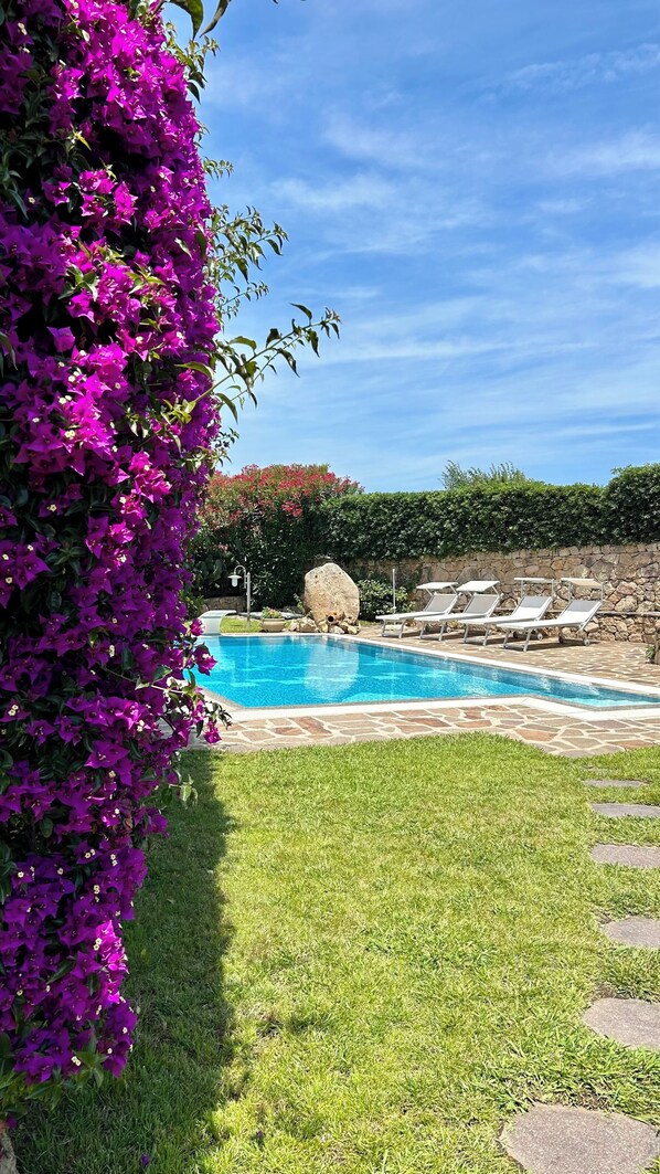 A swimming pool with lounge chairs, surrounded by green grass and purple flowers.