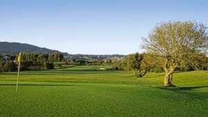 Campo de golf con un mástil de bandera, árboles y una montaña distante.