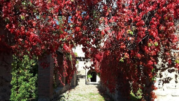 Een pad van stenen dat door een overdekt gebied met rood herfstblad loopt.