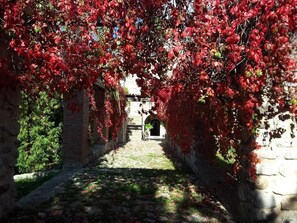 A stone pathway leading through a covered area with red foliage.