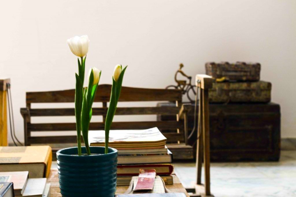 Detalhe da parte interna