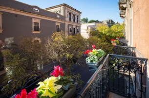 Vista dalla struttura