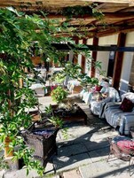 A covered outdoor seating area with tables and chairs, surrounded by greenery and plants.