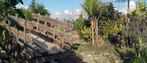 A rustic wooden bench in a garden with various plants and a palm tree.