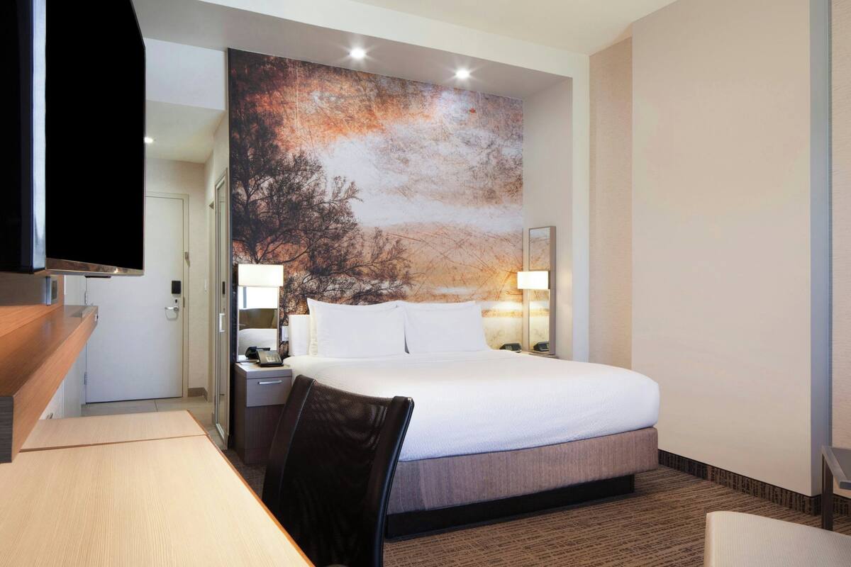 Ein Hotelzimmer mit einem großen Bett, einem Schreibtisch, einem Stuhl, einem Fernseher und einer Wand mit einem Wandgemälde zum Thema Natur.