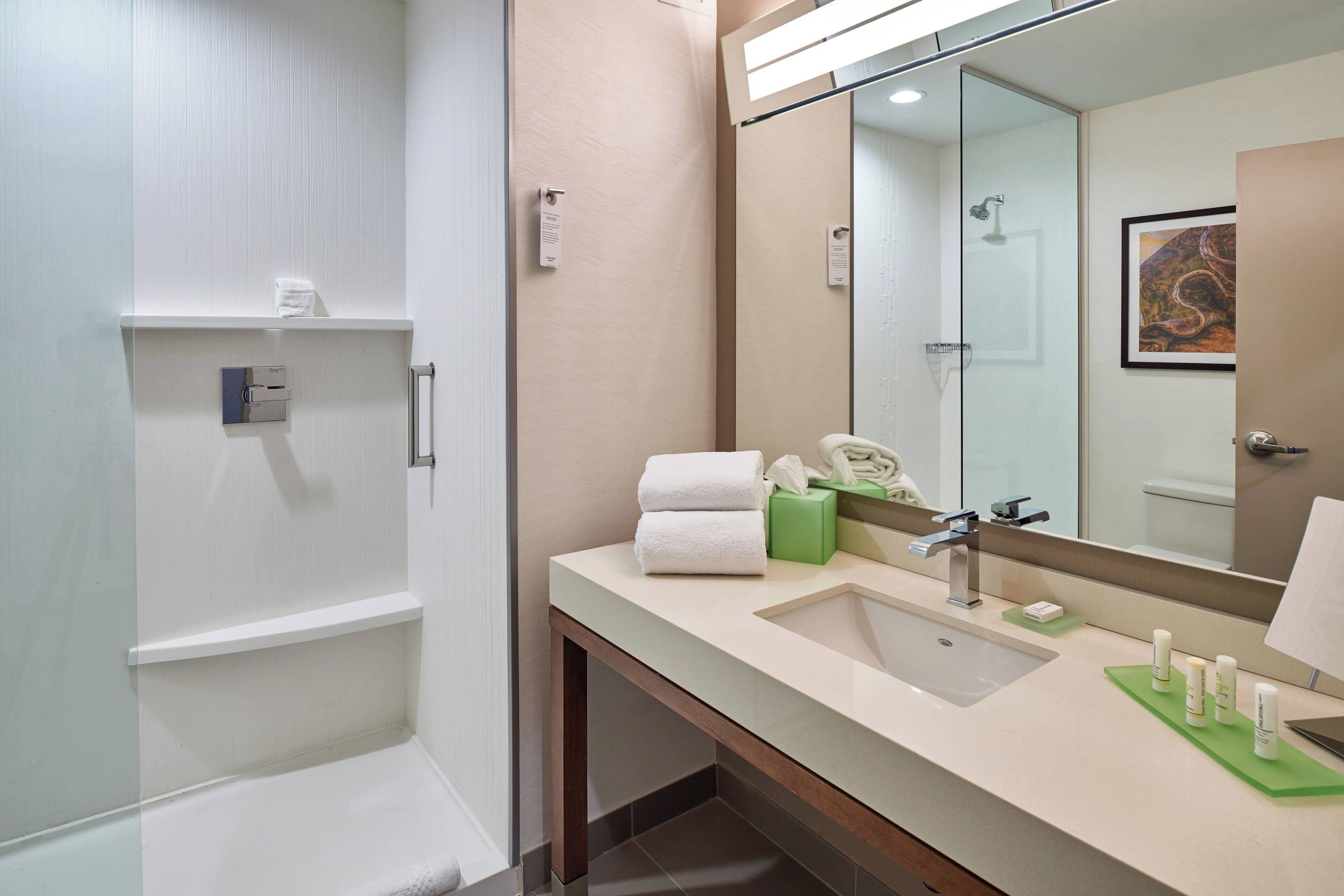 suite, 1 bedroom | bathroom | shower, free toiletries, hair dryer, bathrobes