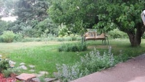A garden with a bench under a tree. - Los Alamos Flats (Los Alamos)